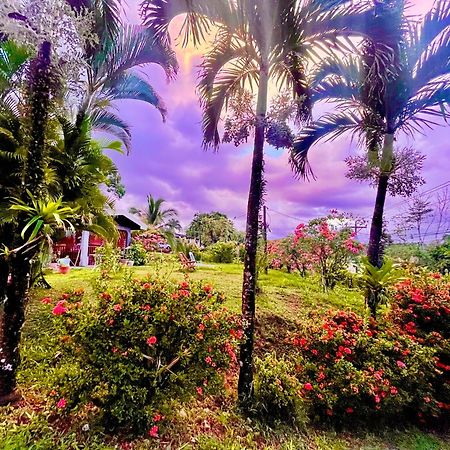 Hotel Tierra De Volcanes La Fortuna ภายนอก รูปภาพ