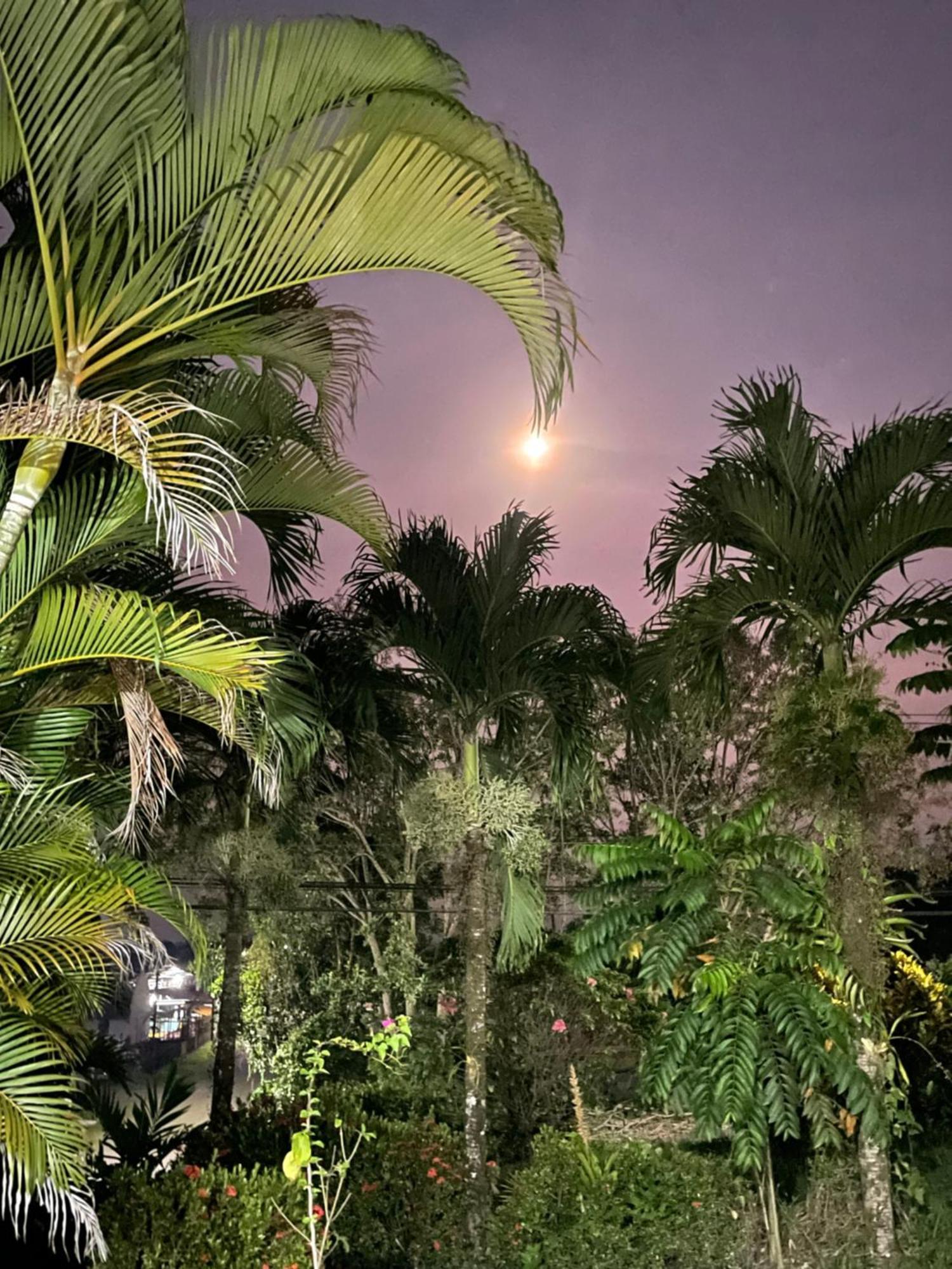 Hotel Tierra De Volcanes La Fortuna ภายนอก รูปภาพ