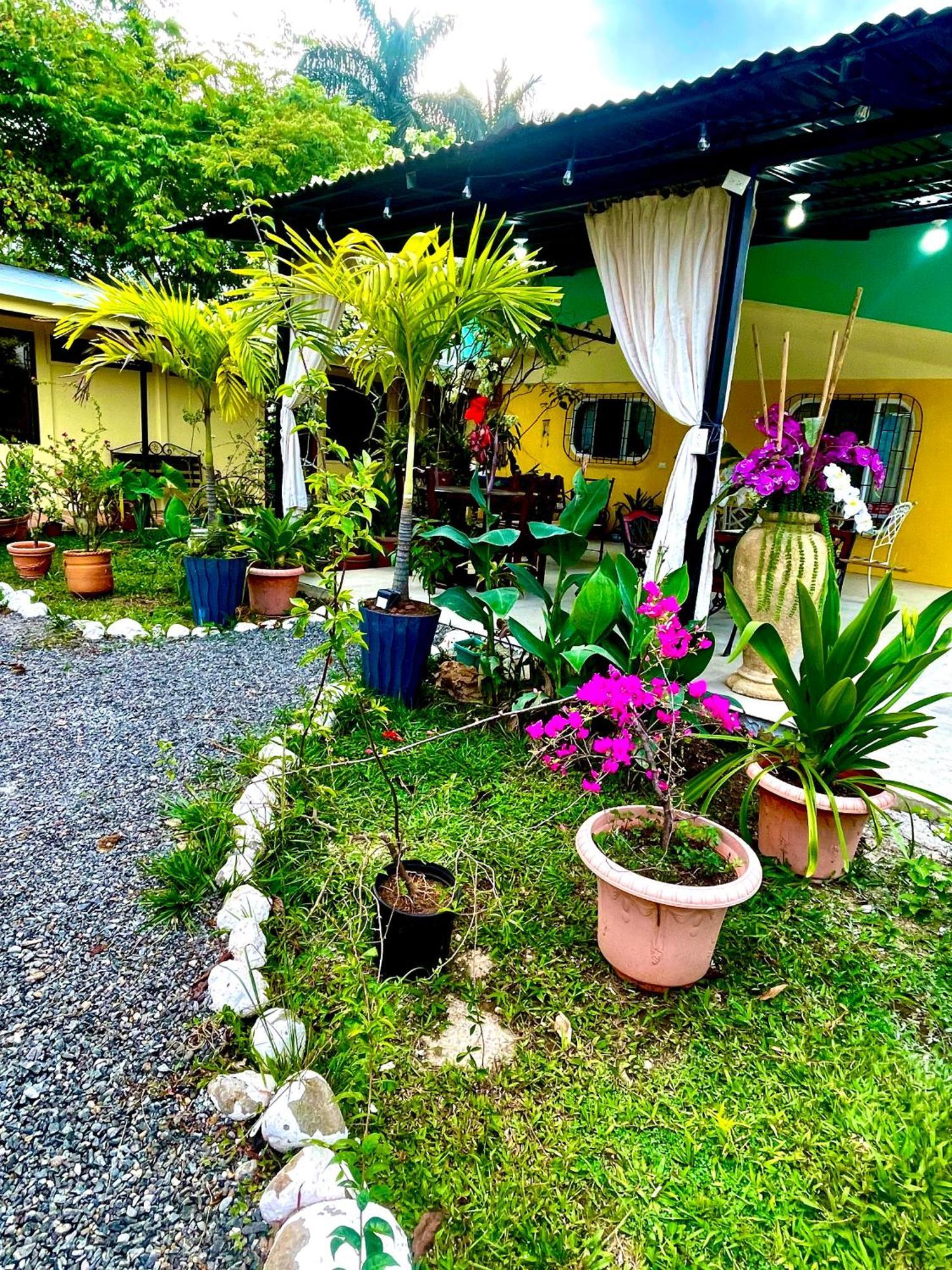 Hotel Tierra De Volcanes La Fortuna ภายนอก รูปภาพ