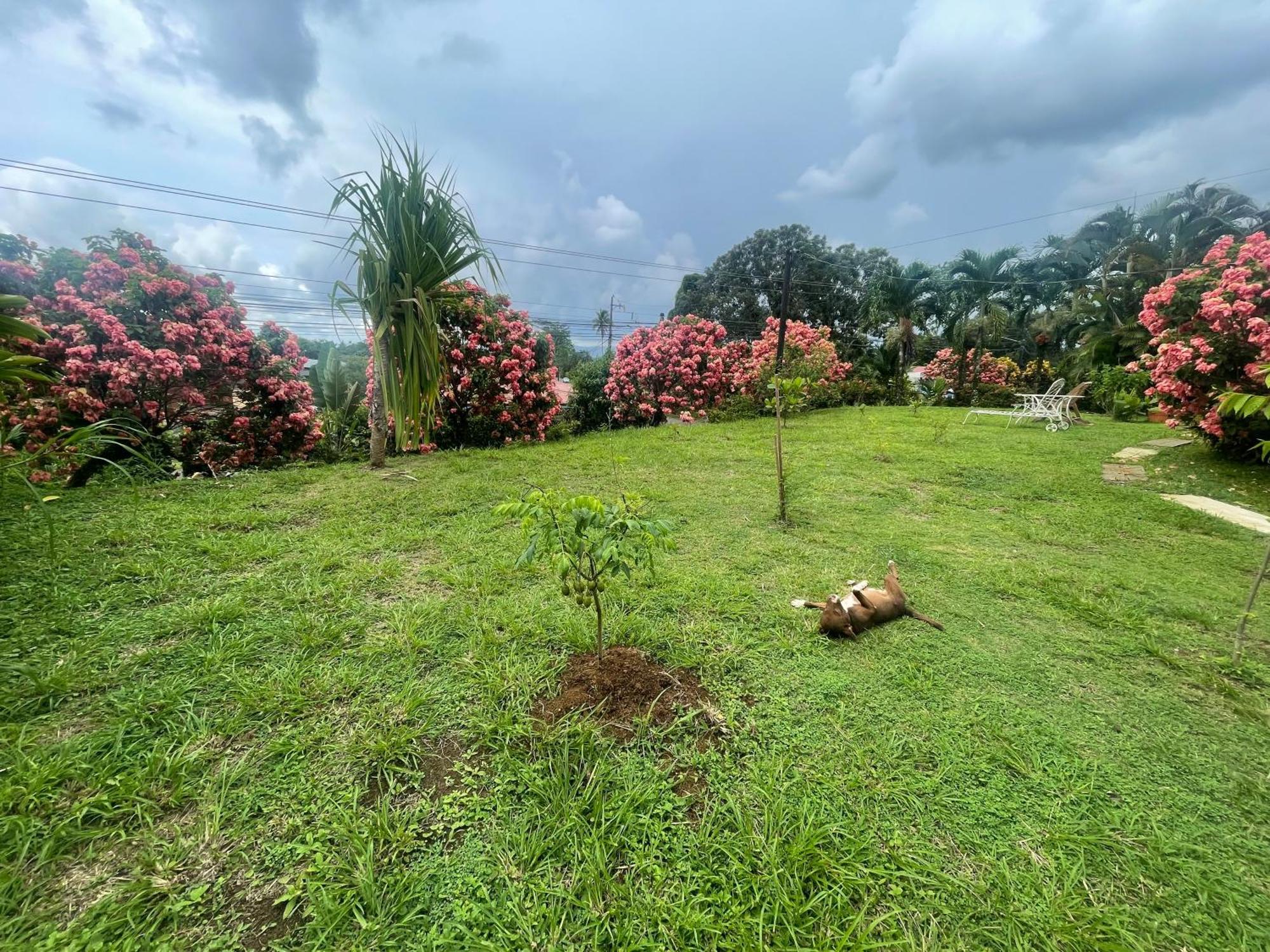 Hotel Tierra De Volcanes La Fortuna ภายนอก รูปภาพ